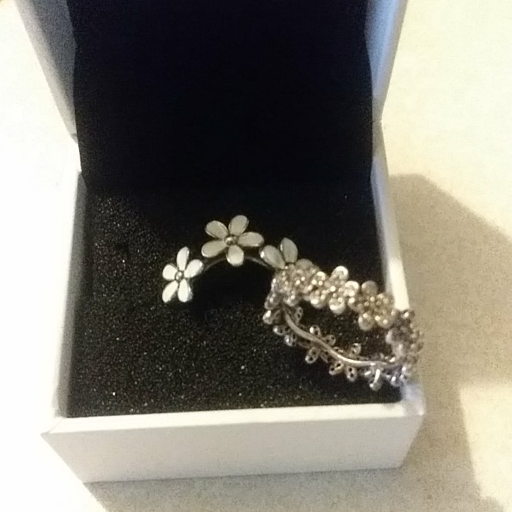 2 new auth pandora daisy rings .. Band is a size 6 White daisy nwt size 5
